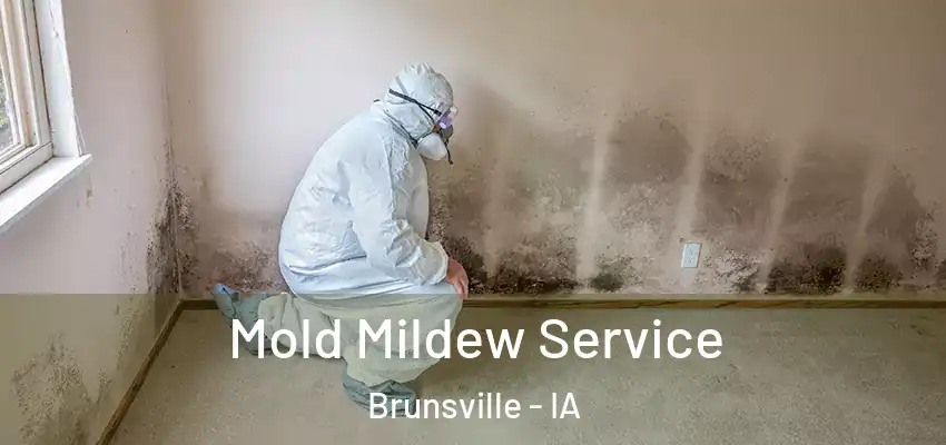 Mold Mildew Service Brunsville - IA