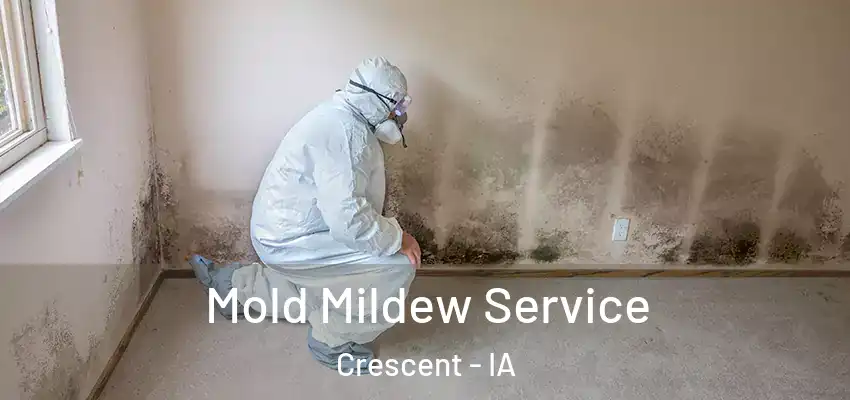  Mold Mildew Service Crescent - IA