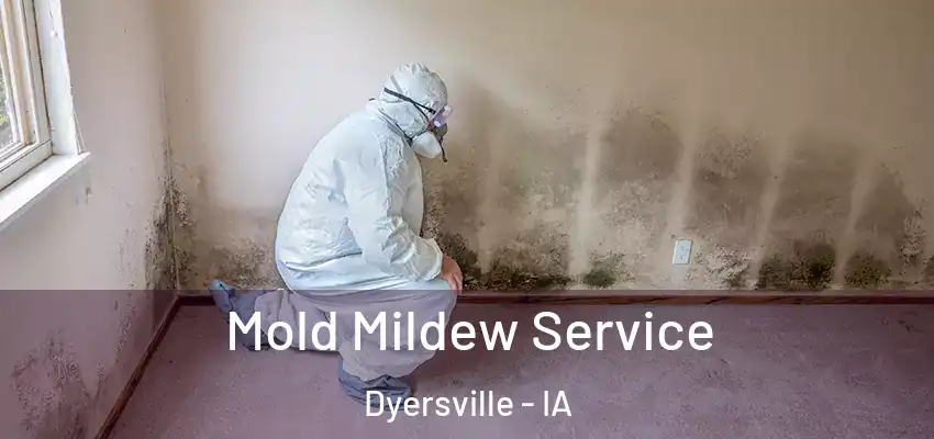 Mold Mildew Service Dyersville - IA