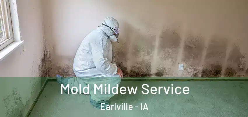 Mold Mildew Service Earlville - IA