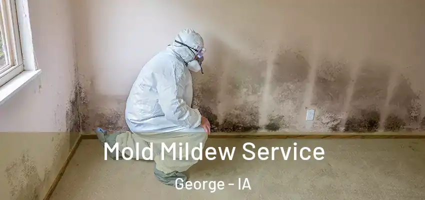  Mold Mildew Service George - IA