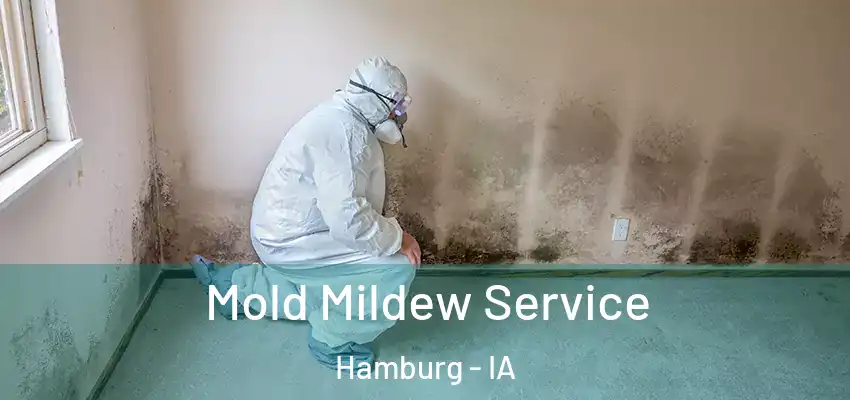  Mold Mildew Service Hamburg - IA