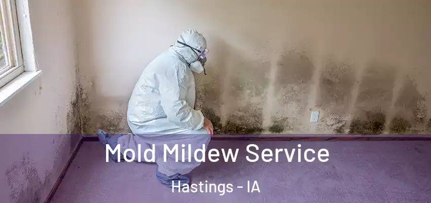  Mold Mildew Service Hastings - IA