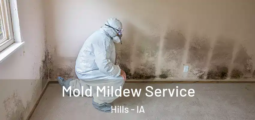  Mold Mildew Service Hills - IA