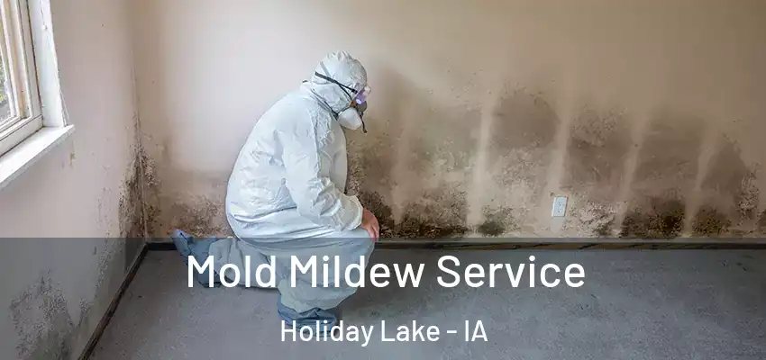 Mold Mildew Service Holiday Lake - IA