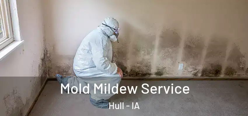 Mold Mildew Service Hull - IA
