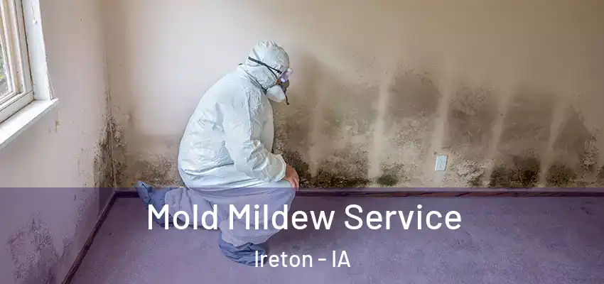  Mold Mildew Service Ireton - IA