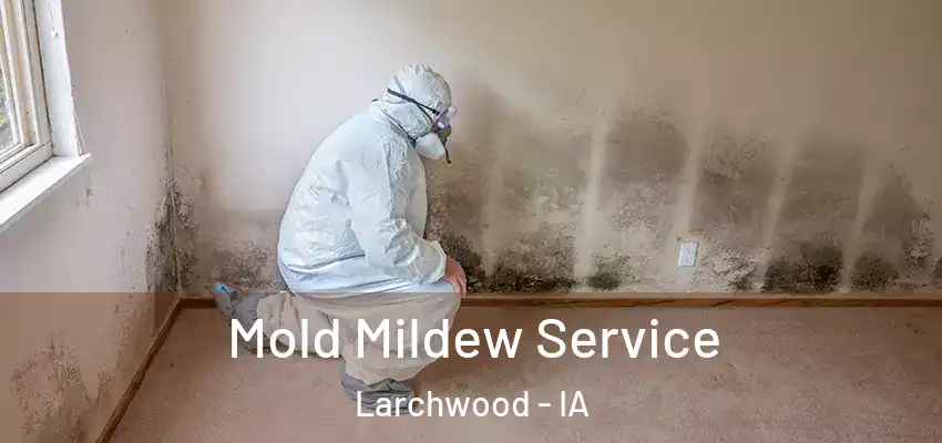 Mold Mildew Service Larchwood - IA
