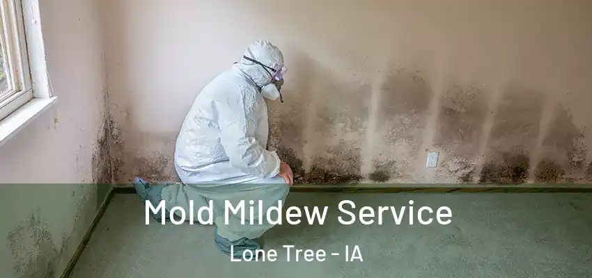  Mold Mildew Service Lone Tree - IA