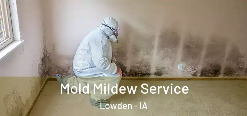Mold Mildew Service Lowden - IA