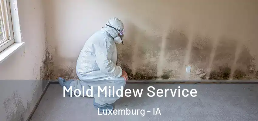 Mold Mildew Service Luxemburg - IA
