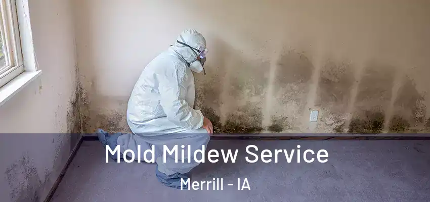  Mold Mildew Service Merrill - IA