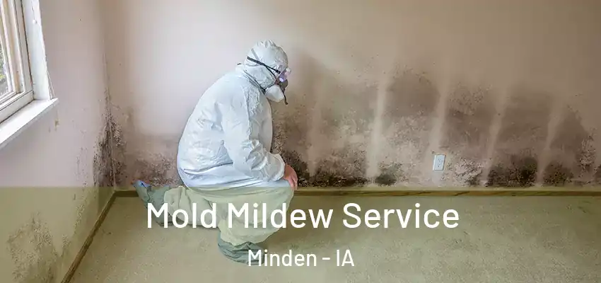  Mold Mildew Service Minden - IA