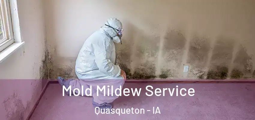 Mold Mildew Service Quasqueton - IA