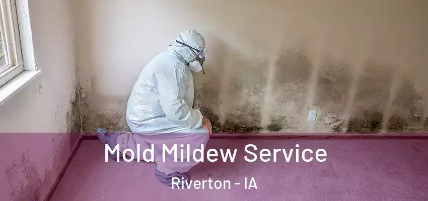  Mold Mildew Service Riverton - IA