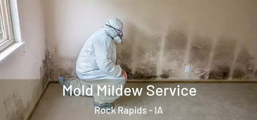 Mold Mildew Service Rock Rapids - IA