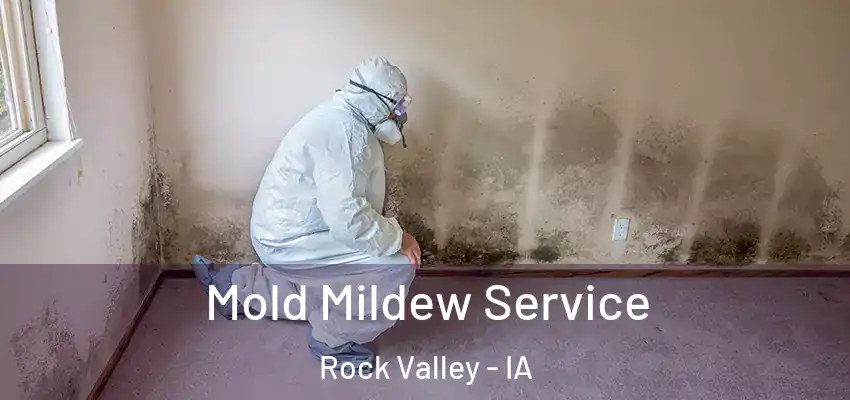  Mold Mildew Service Rock Valley - IA