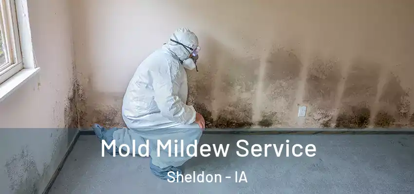  Mold Mildew Service Sheldon - IA