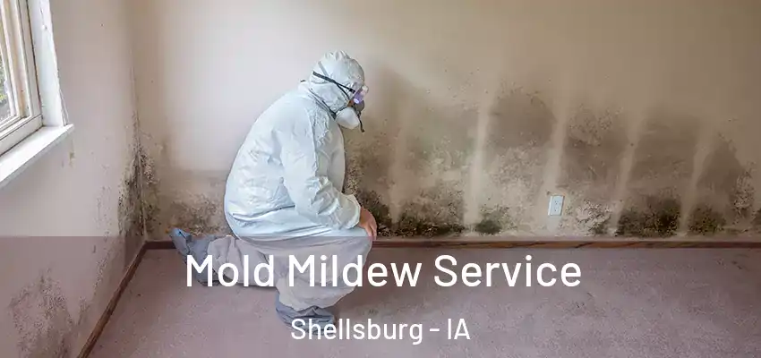 Mold Mildew Service Shellsburg - IA