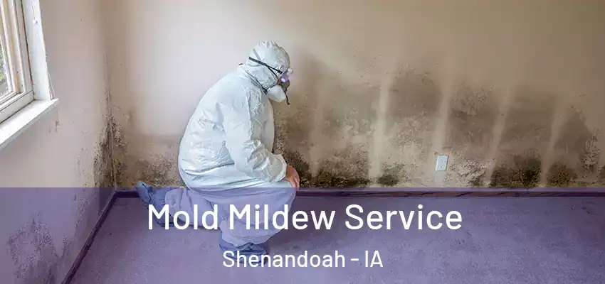  Mold Mildew Service Shenandoah - IA