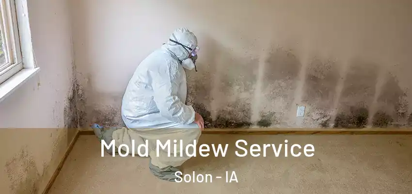  Mold Mildew Service Solon - IA
