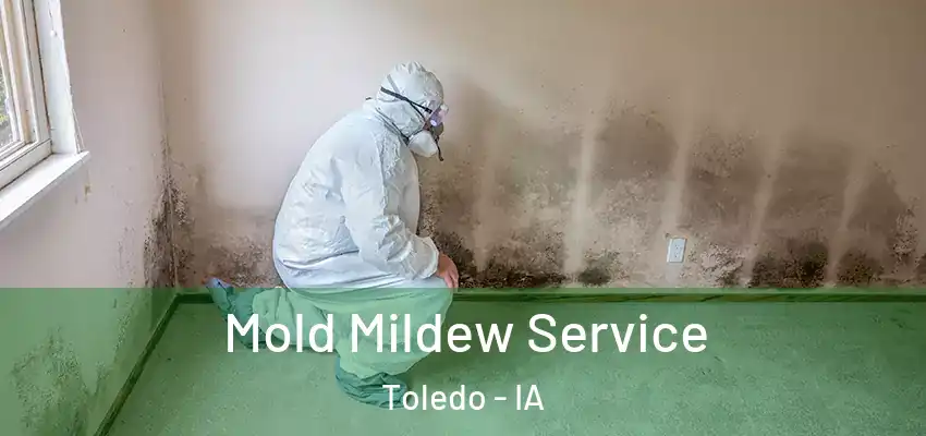  Mold Mildew Service Toledo - IA