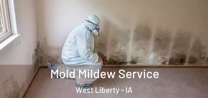 Mold Mildew Service West Liberty - IA