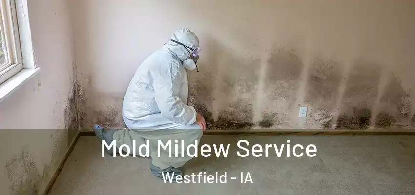  Mold Mildew Service Westfield - IA
