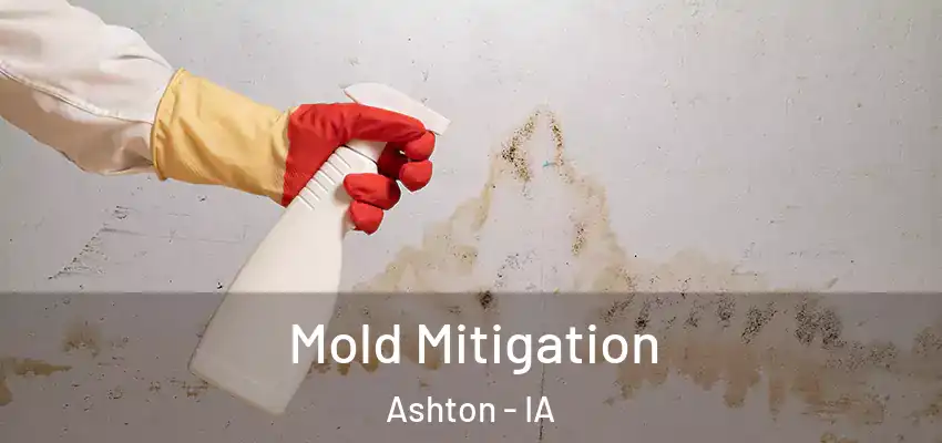  Mold Mitigation Ashton - IA