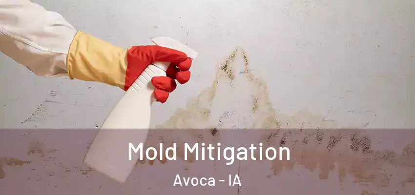  Mold Mitigation Avoca - IA