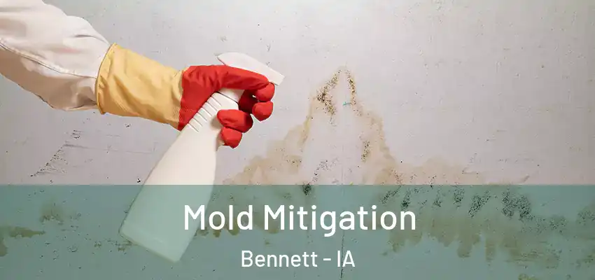 Mold Mitigation Bennett - IA