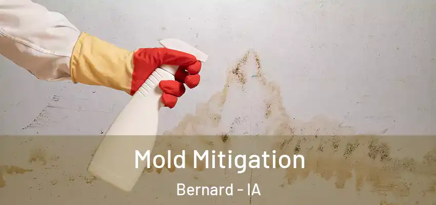 Mold Mitigation Bernard - IA
