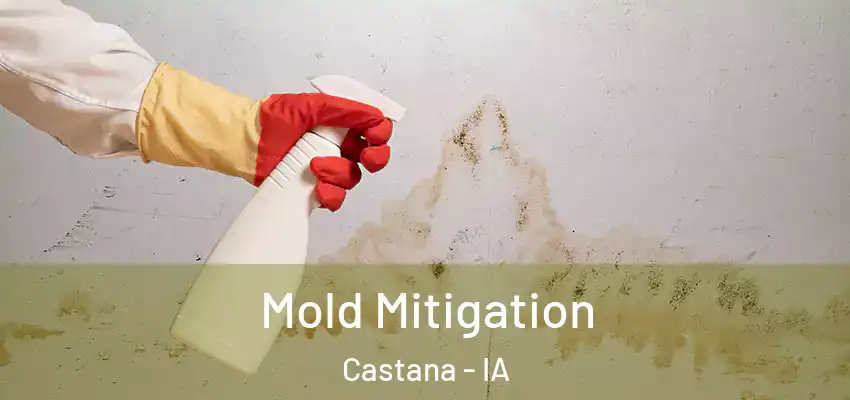 Mold Mitigation Castana - IA