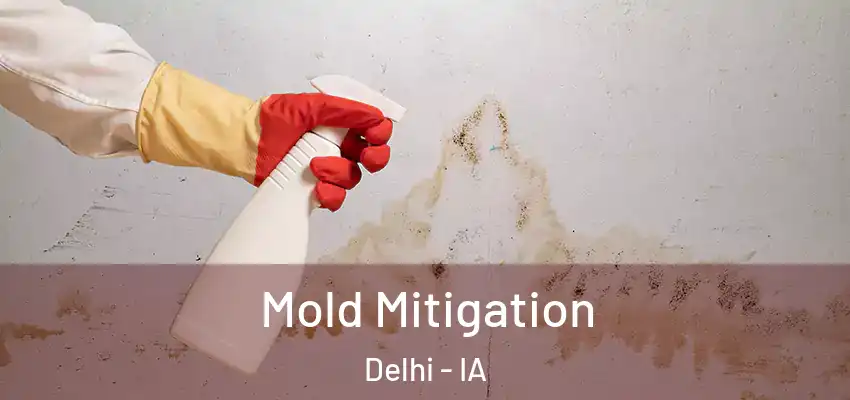 Mold Mitigation Delhi - IA