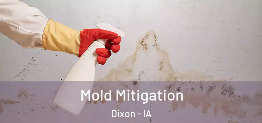  Mold Mitigation Dixon - IA