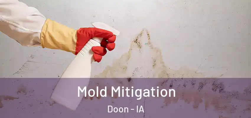 Mold Mitigation Doon - IA