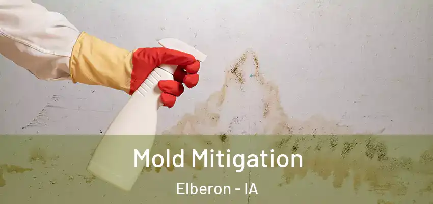  Mold Mitigation Elberon - IA