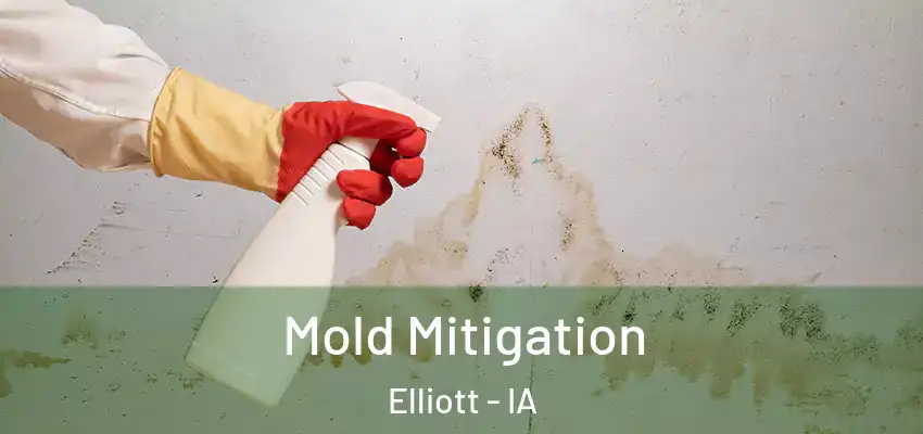  Mold Mitigation Elliott - IA