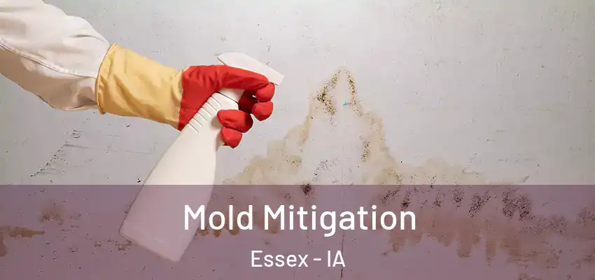 Mold Mitigation Essex - IA
