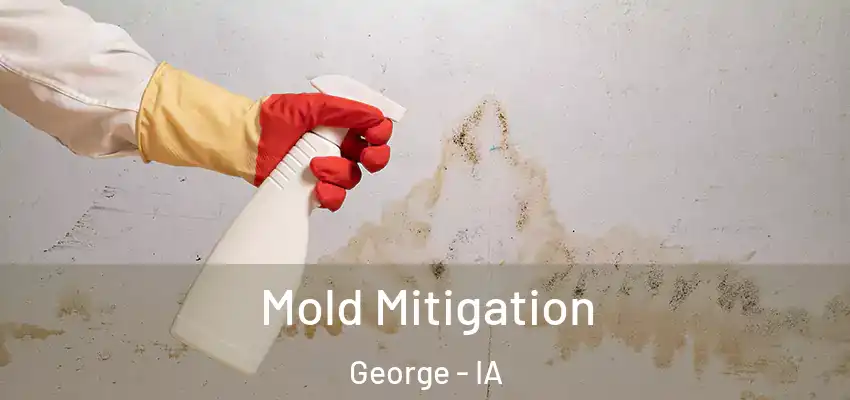  Mold Mitigation George - IA
