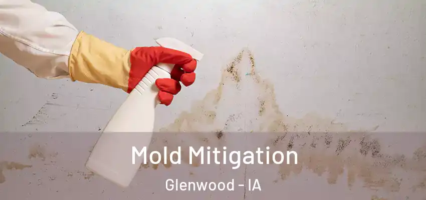Mold Mitigation Glenwood - IA