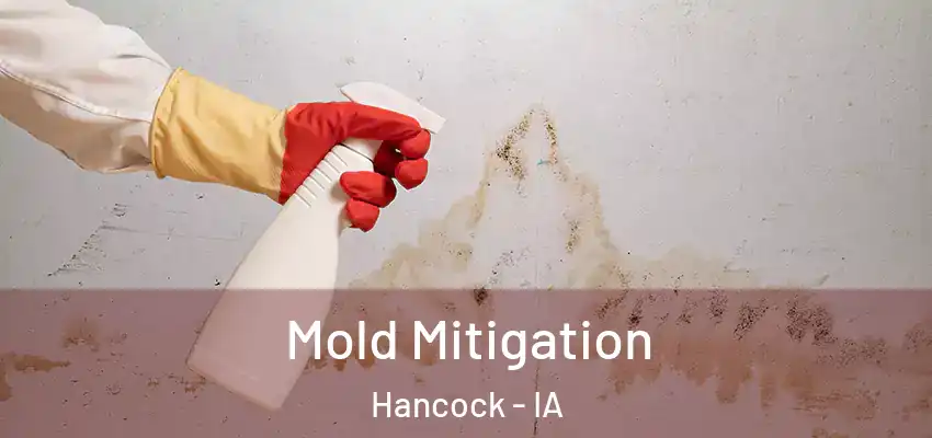  Mold Mitigation Hancock - IA