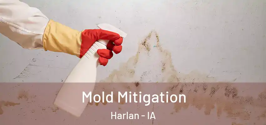 Mold Mitigation Harlan - IA