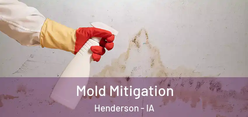  Mold Mitigation Henderson - IA