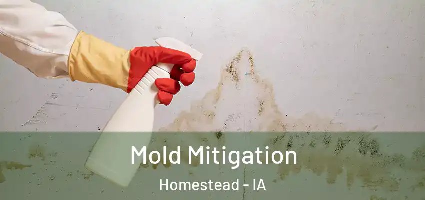 Mold Mitigation Homestead - IA