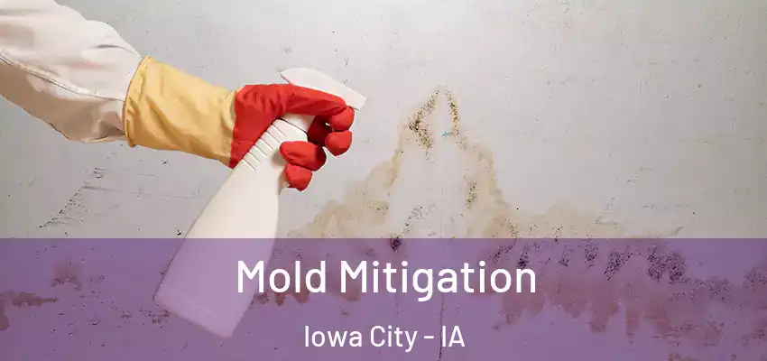 Mold Mitigation Iowa City - IA
