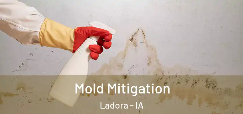  Mold Mitigation Ladora - IA