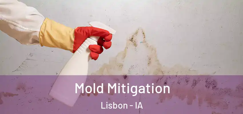  Mold Mitigation Lisbon - IA