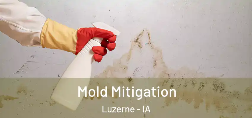  Mold Mitigation Luzerne - IA