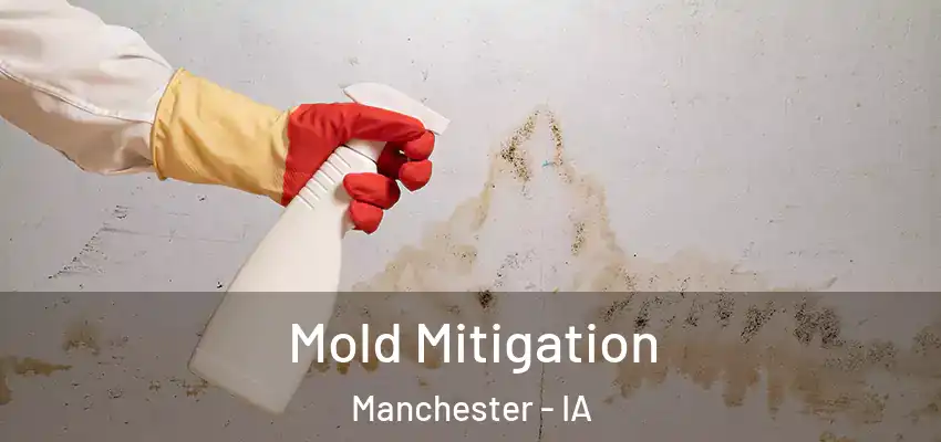 Mold Mitigation Manchester - IA
